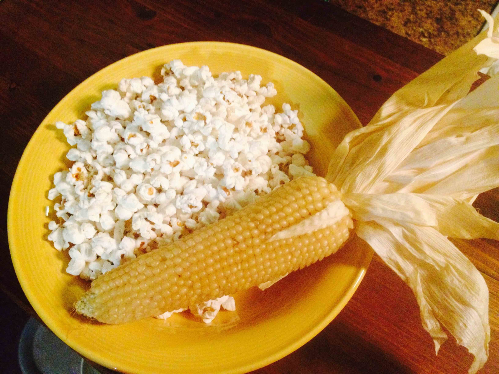 Pennsylvania Dutch / Amish Butter Popcorn Seeds (100 seeds) ORGANIC