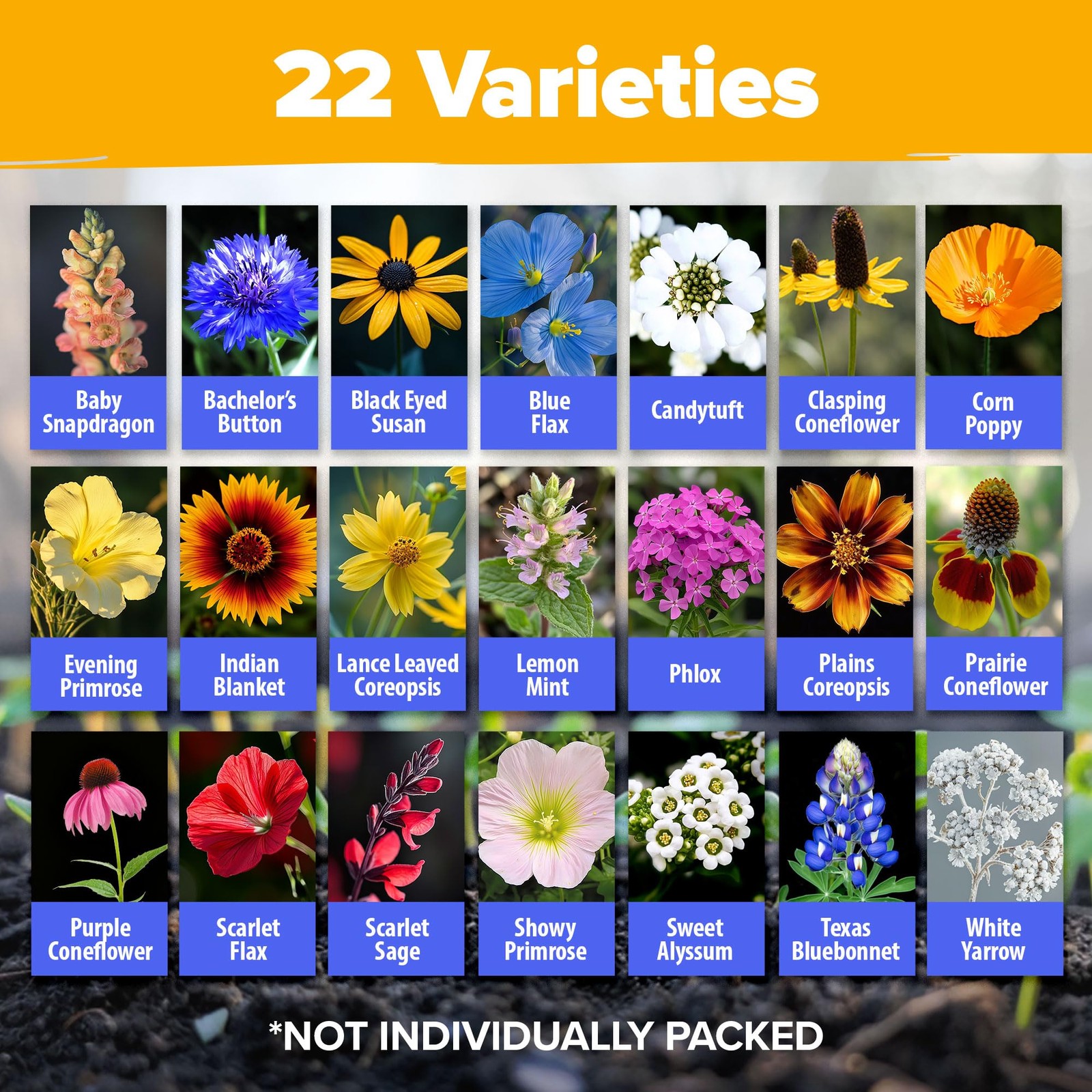 HOME GROWN Texas Wildflower Seeds 87,500+ Non-GMO Perennial 2 oz, Multi
