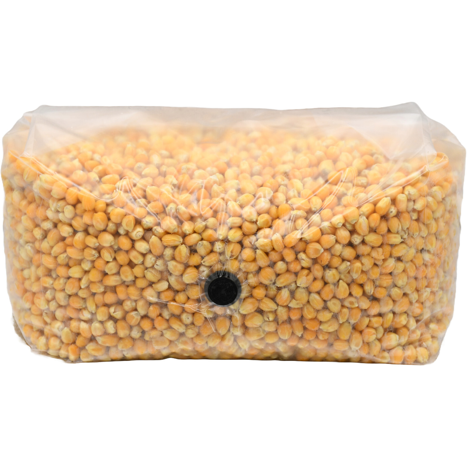 Sterilized Popcorn Grow Bag (25lbs)