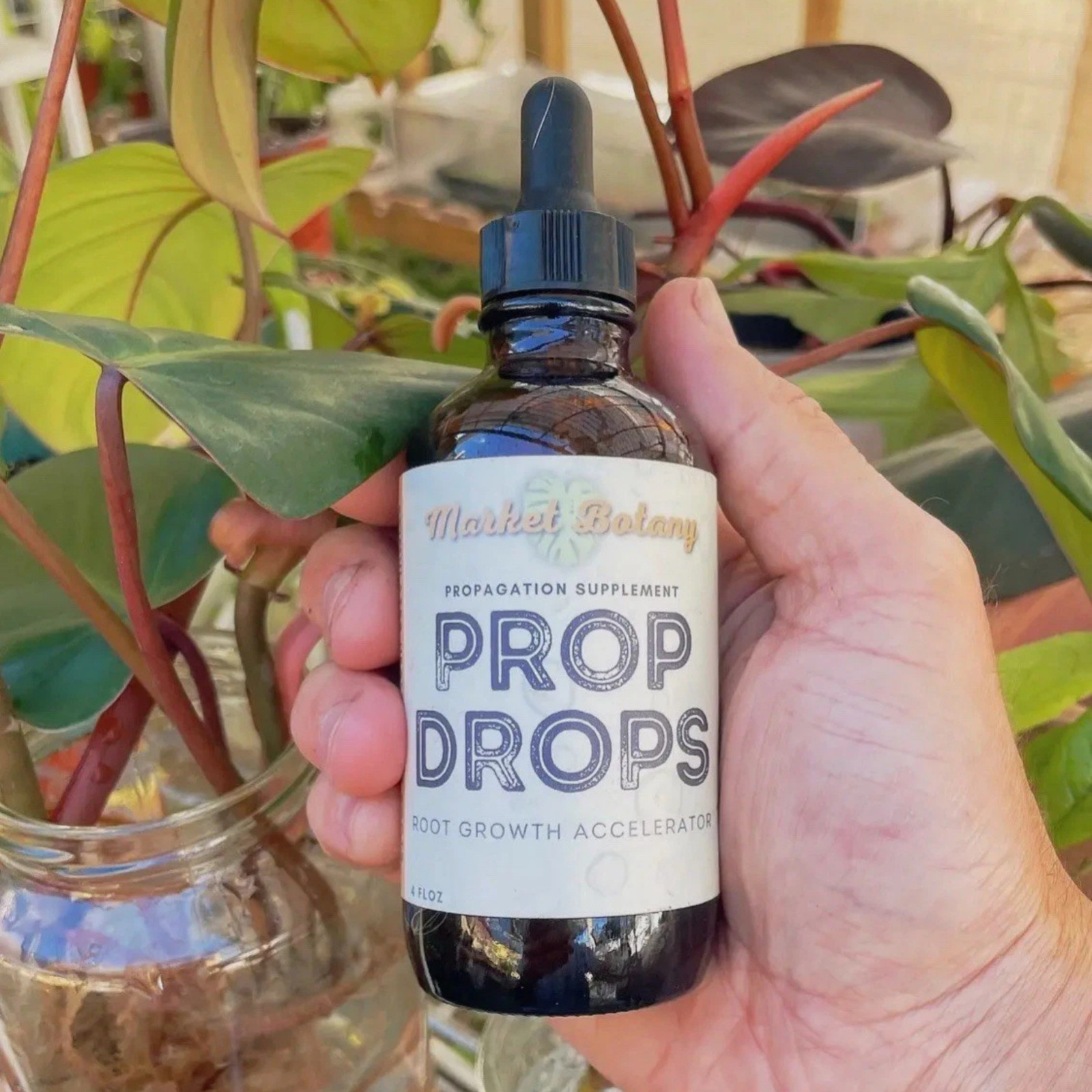 Prop Drops Plant Propagation Drops – Root Growth Booster for Cuttings & Housepla