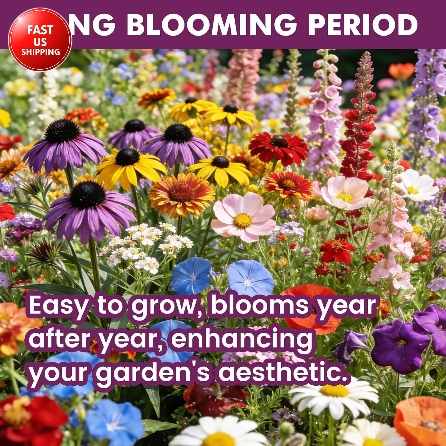 Wildflower Seeds Bulk 10000+, 1.06Oz Butterfly Hummingbird Mix, 21 Variety Peren