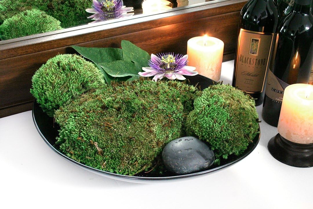 SuperMoss (21881 Royal Pool Moss Preserved, Fresh Green, 3lbs (6-2B)