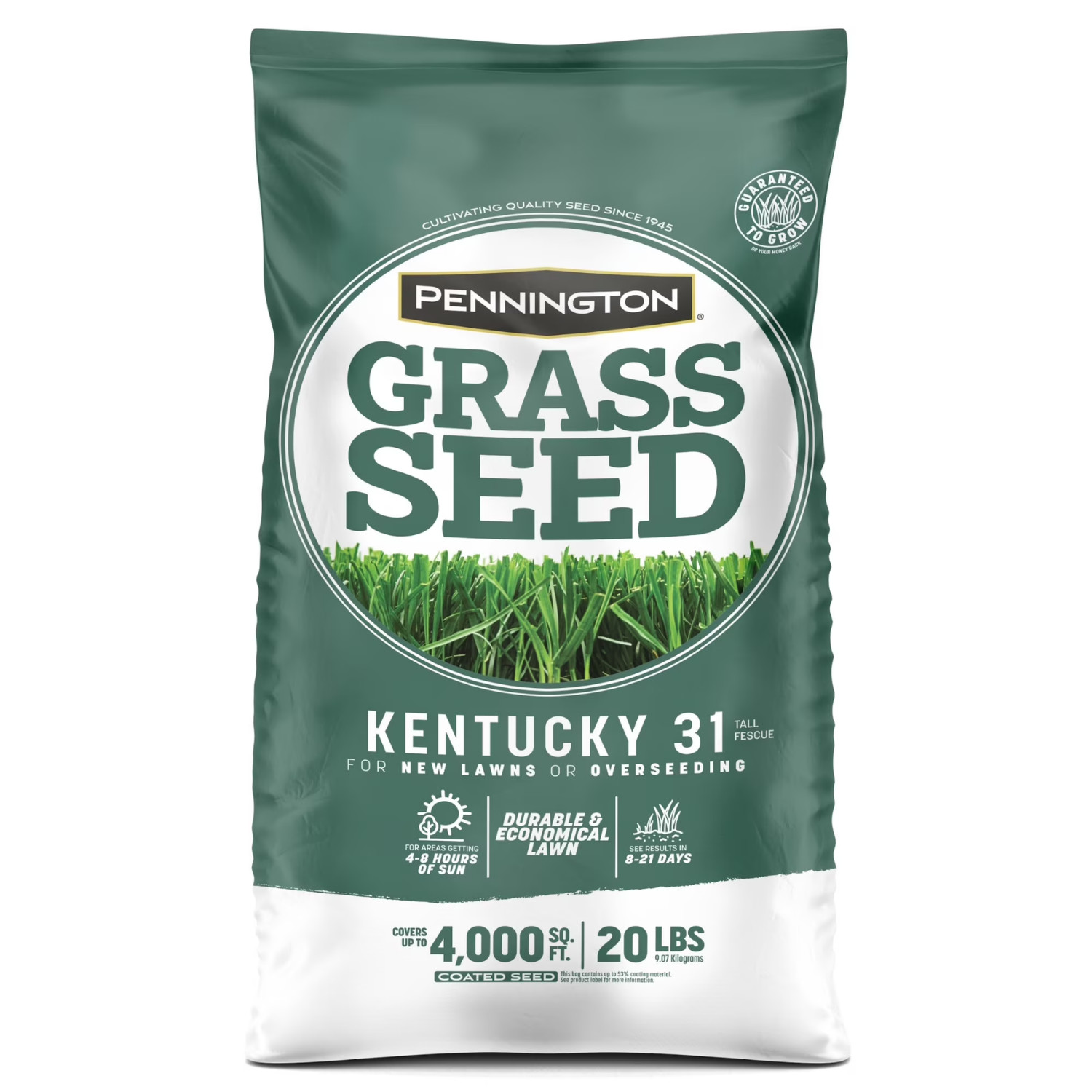 Pennington Kentucky 31 Tall Fescue Grass Seeds 20 lb Sun Partial Shade Lawn