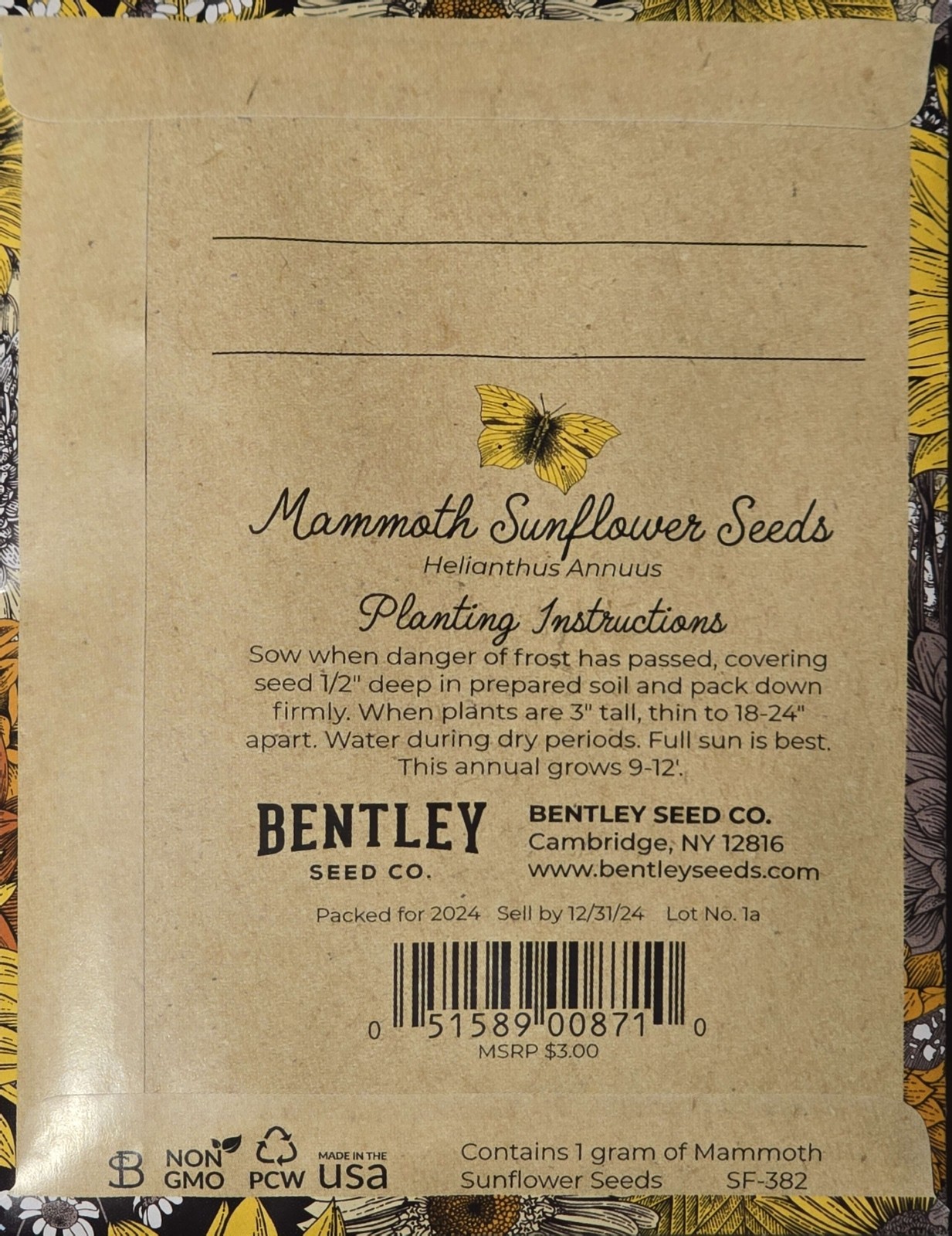 Bentley Seed Co. Mammoth Sunflower Seeds, Helianthus Annuus, 1000mg of Seeds