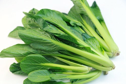 200+Tendergreen Mustard Seeds (Brassica juncea) Spinach mustard Komatsuna USA