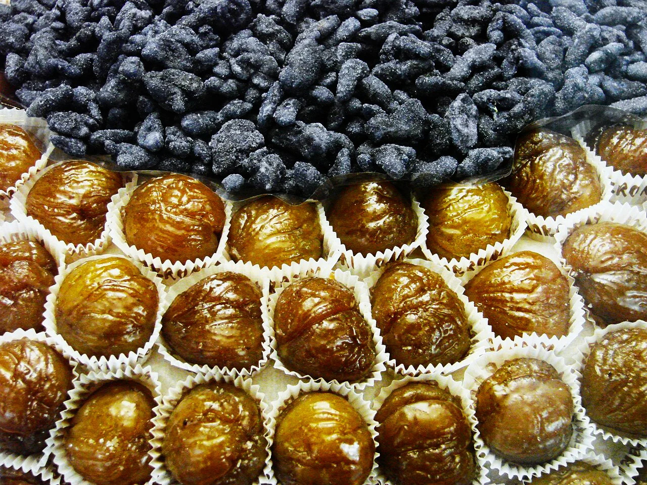 Sweet Chestnut Tree (European x Japanese Hybrid) Seeds – For 2026 Planting