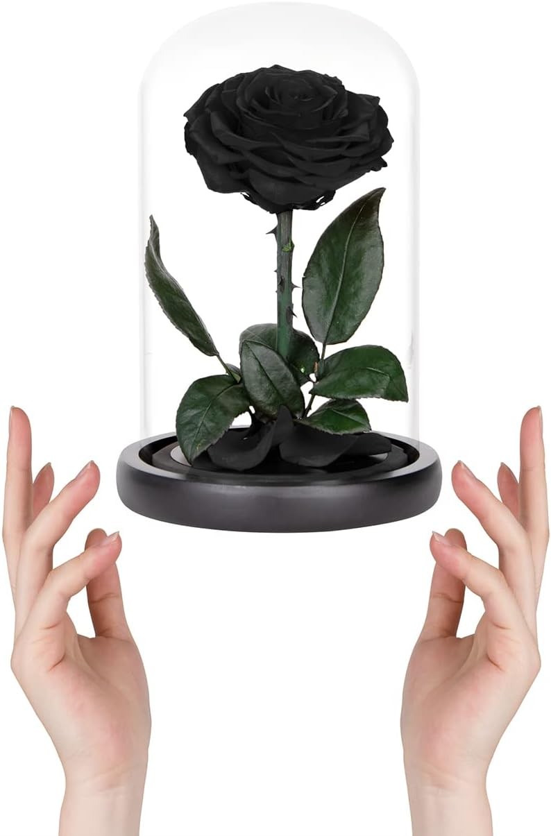 Preserved Roses Black in Glass Dome, Medium,