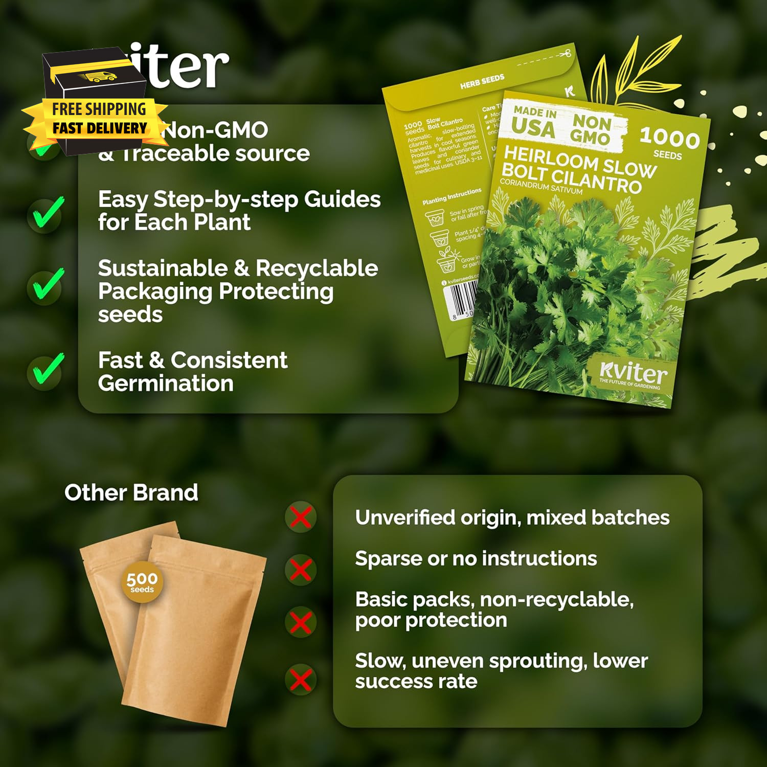 1000 Slow Bolt Cilantro Seeds (Coriandrum Sativum) – Cilantro Seed, Slow to Bolt
