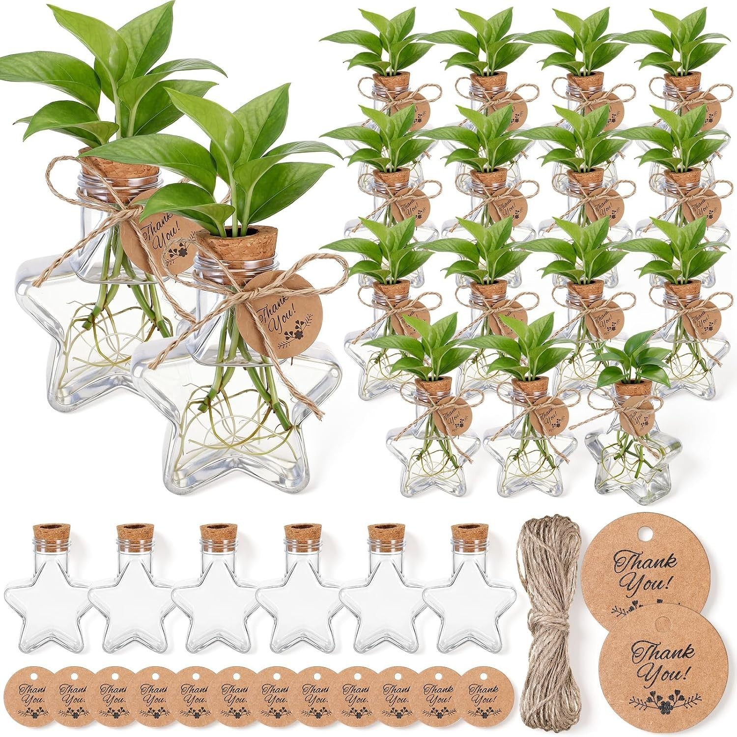 Heartwarming 24 Pack Plastic Propagation Vases – Ideal Gifts for Plant Lovers
