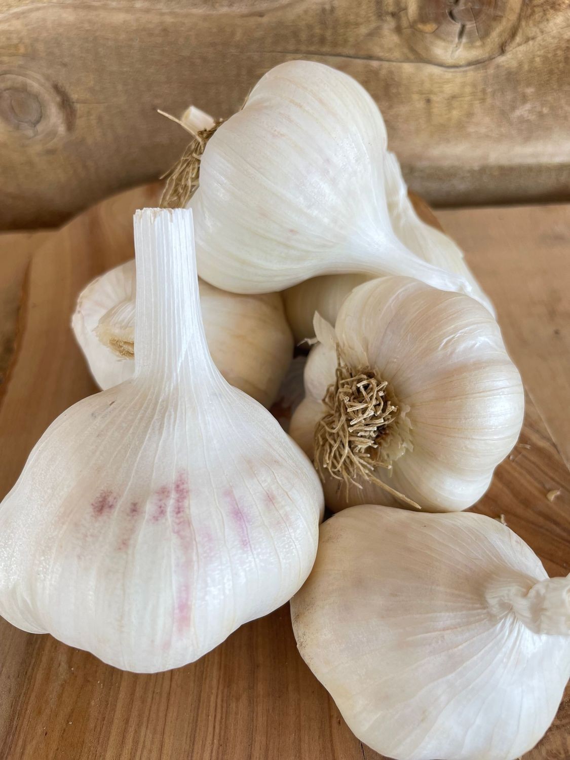 USDA Organic CA Early Garlic Bulbs | Mild Gourmet Garlic | California Grown