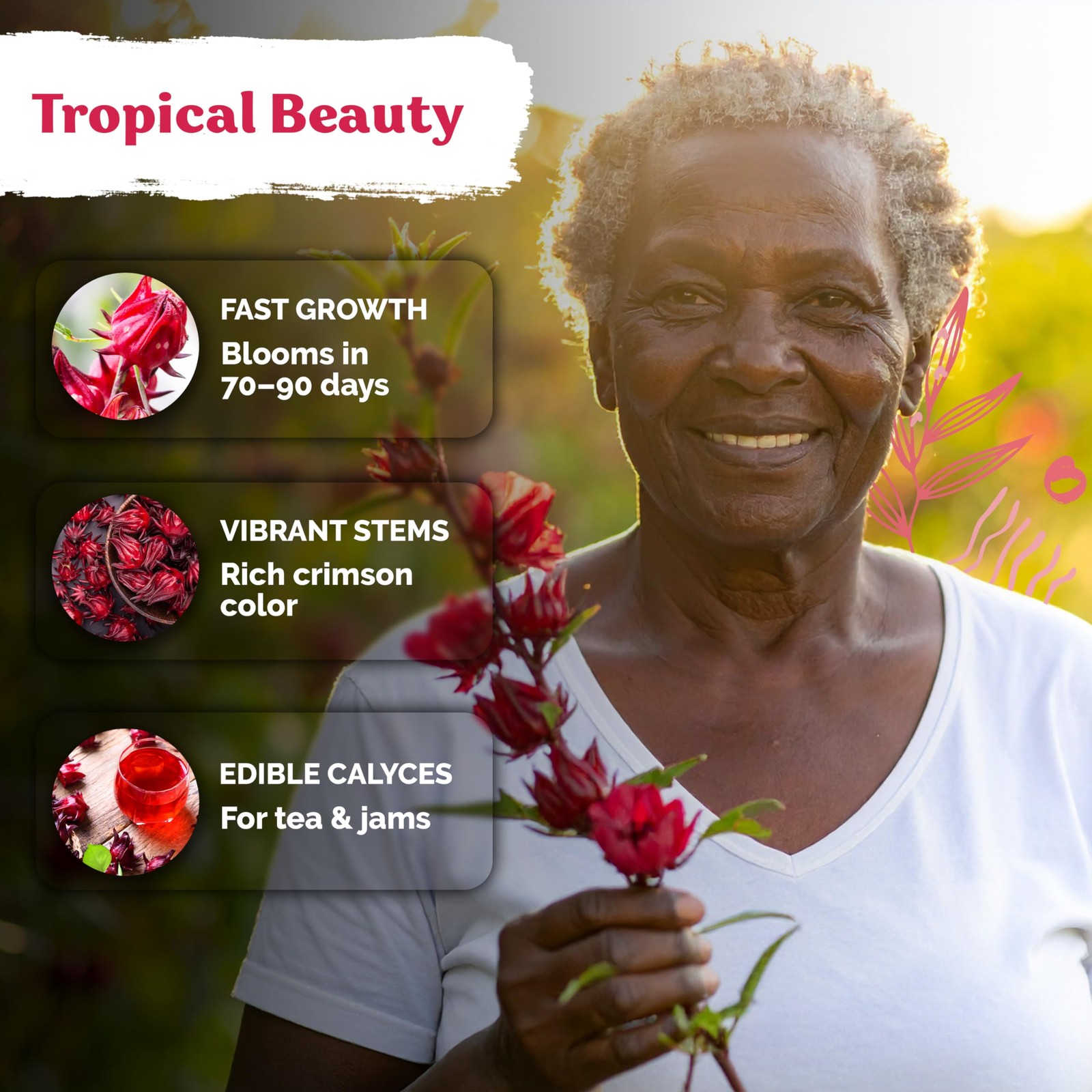 KVITER 150 Roselle Seeds for Planting (Hibiscus Sabdariffa)