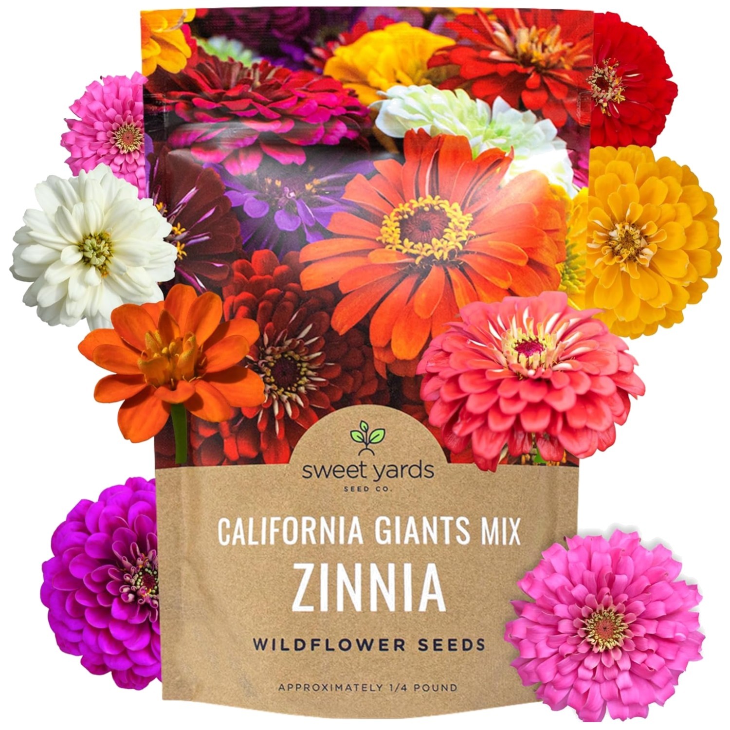 Zinnia California Mix – Over 48,000 Seeds