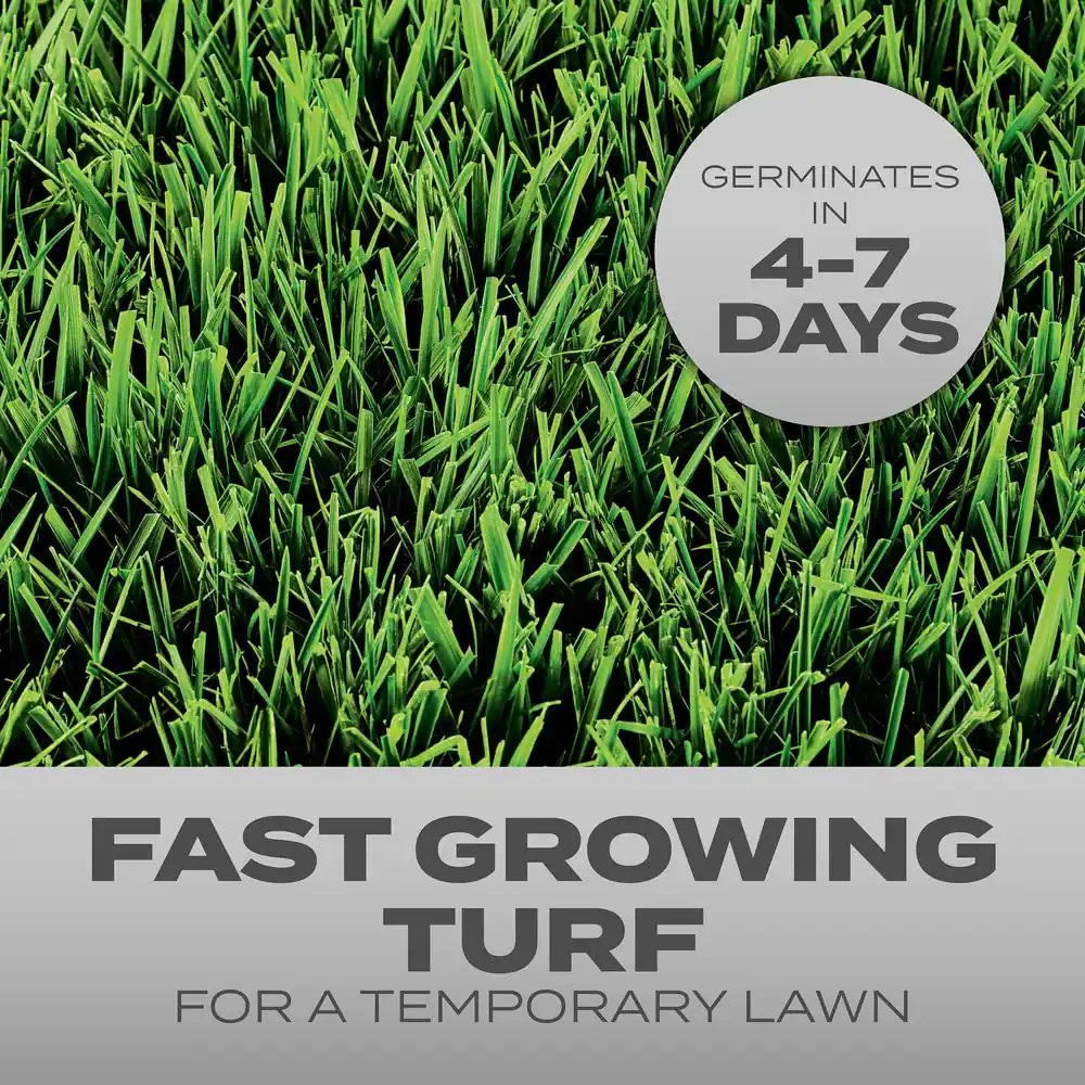 Turf Builder Grass Seed 3 Lbs. Quick Fix Mix, Fast Growing Turf for a Temporary