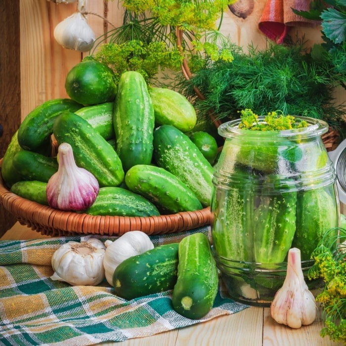 100 Boston Pickling Cucumber Seeds – With Bonus! | Organic Non-GMO Heirloom