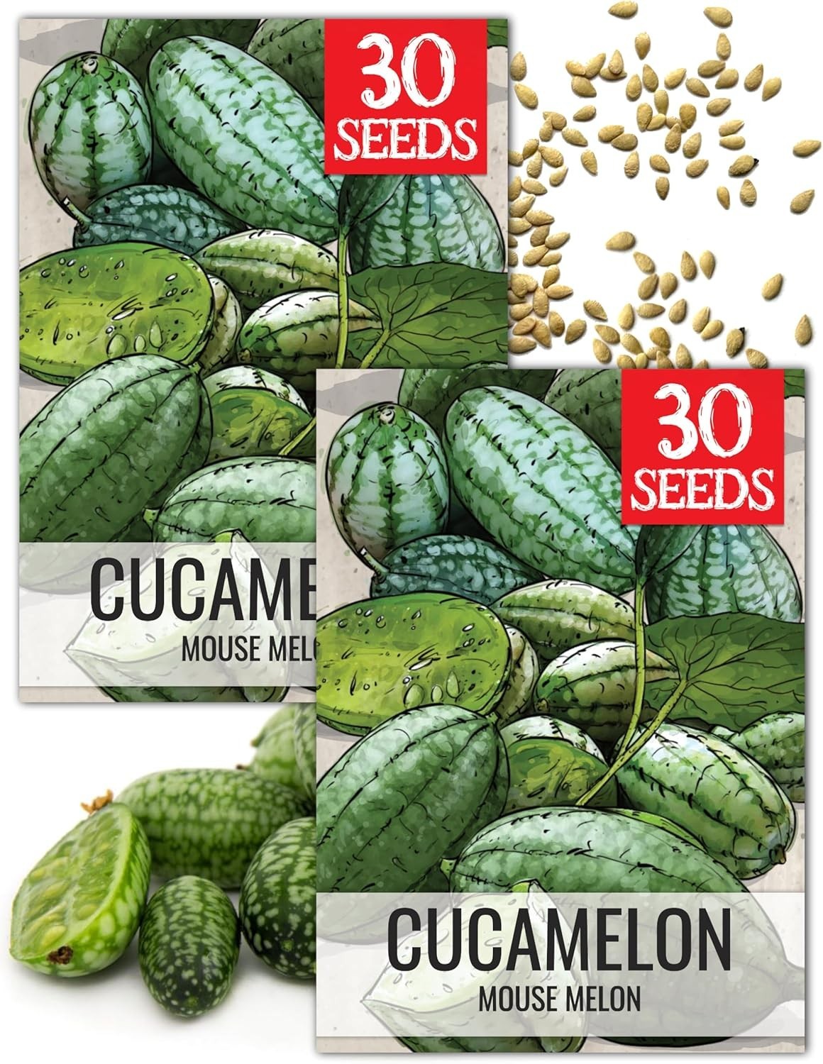 Cucamelon Seeds – Non-GMO Heirloom Mexican Sour Gherkins, 2 Packs for Gardening