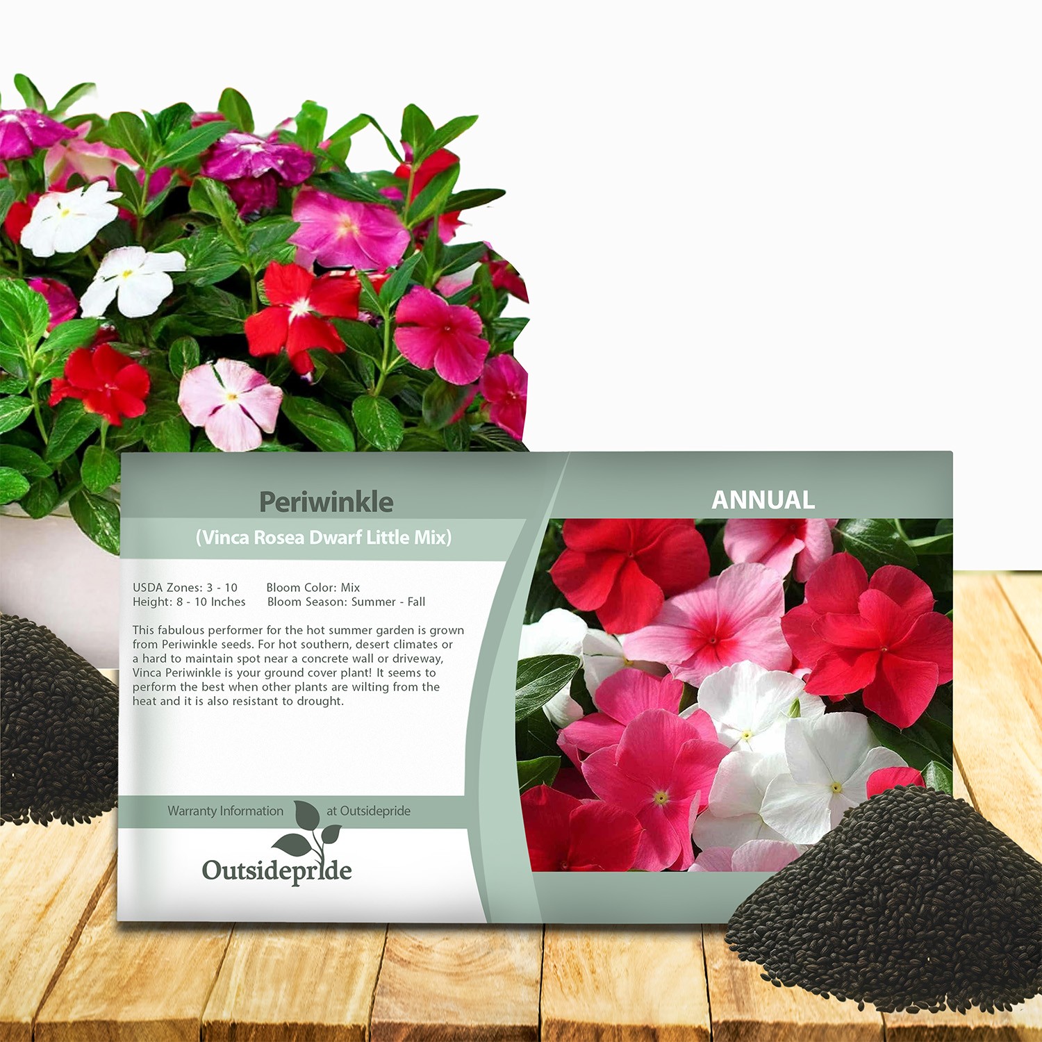 2000 Seeds Periwinkle Vinca Seed Mix For Planting – Dwarf Little Mix Ground