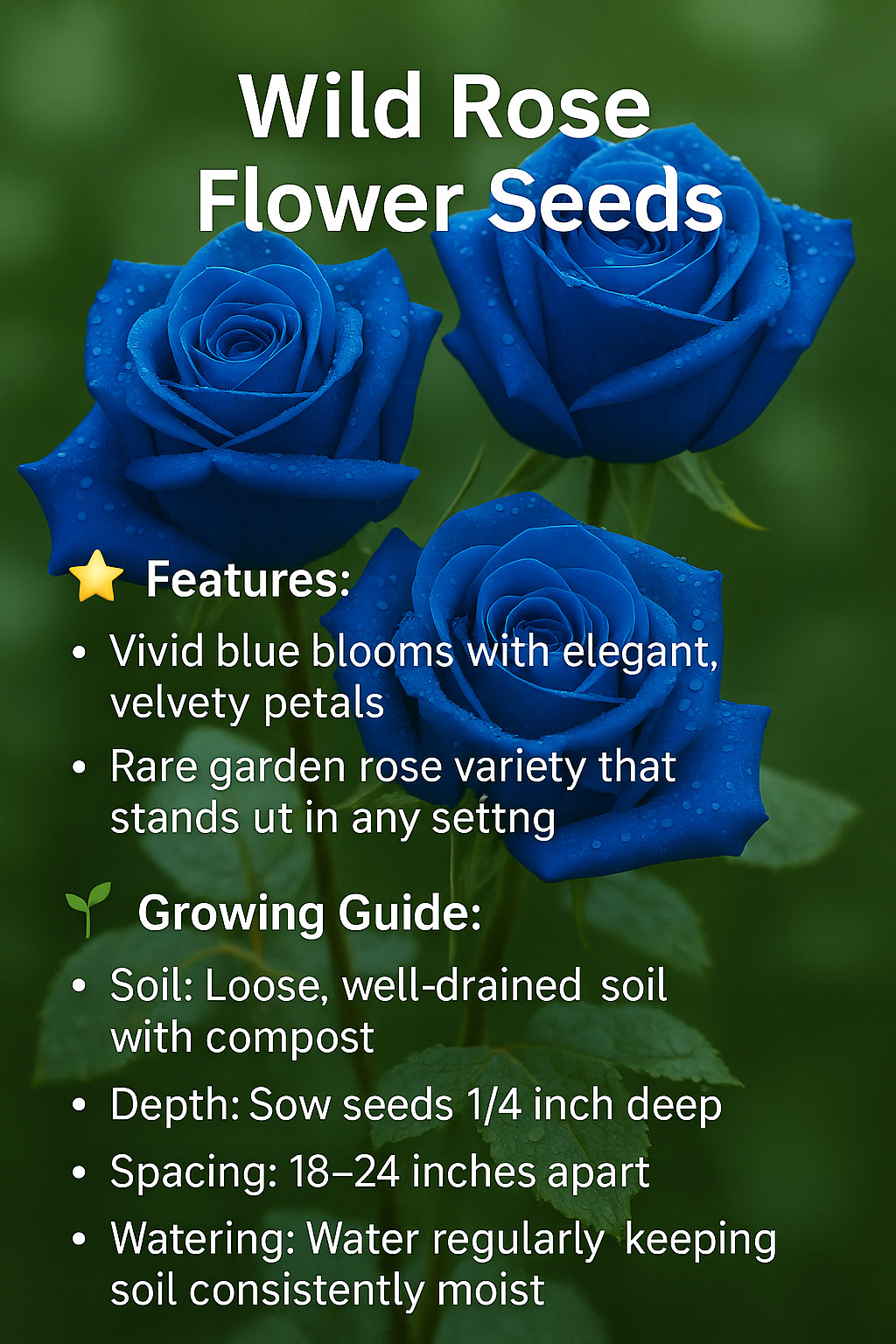 20 Blue Rose Seeds – Rare and Striking Blooms for an Enchanting Garden