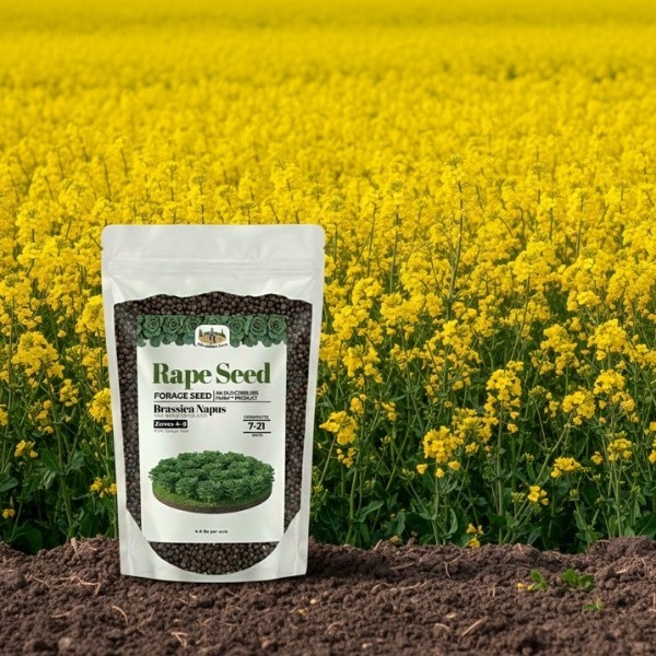Old Cobblers Farm™ Wicked Tuff Turf Essex Dwarf Rape Seed – Lush Green Forage