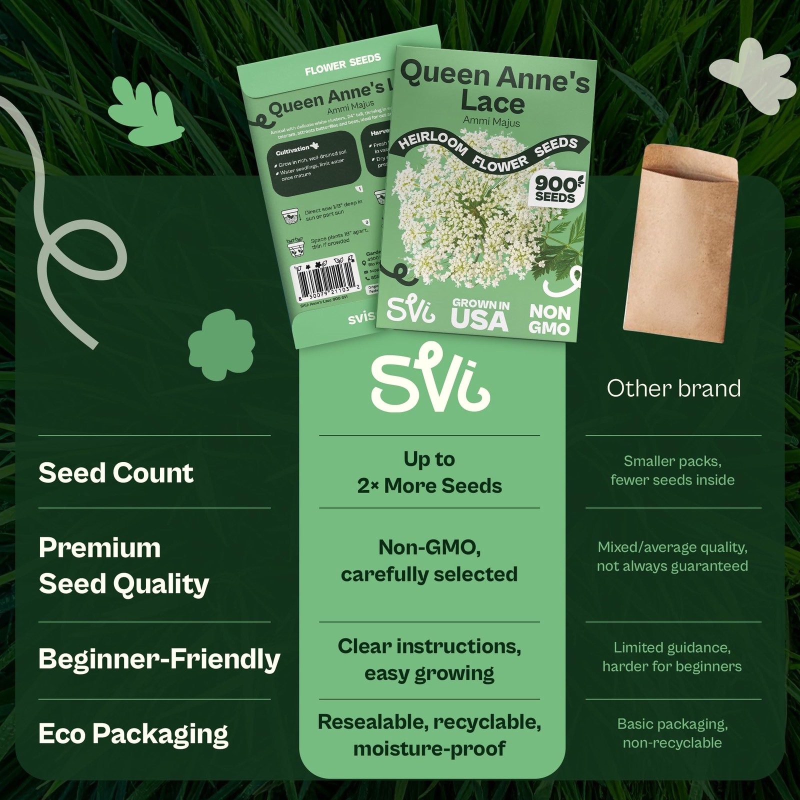 SVI 900 Queen Anne’s Lace Seeds for Planting, Bishop’s Flower Seed White