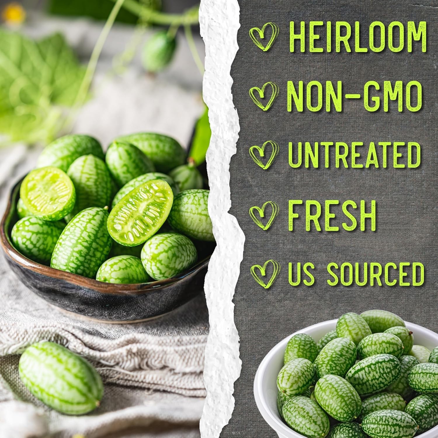 Cucamelon Seeds – Non-GMO Heirloom Mexican Sour Gherkins, 2 Packs for Gardening