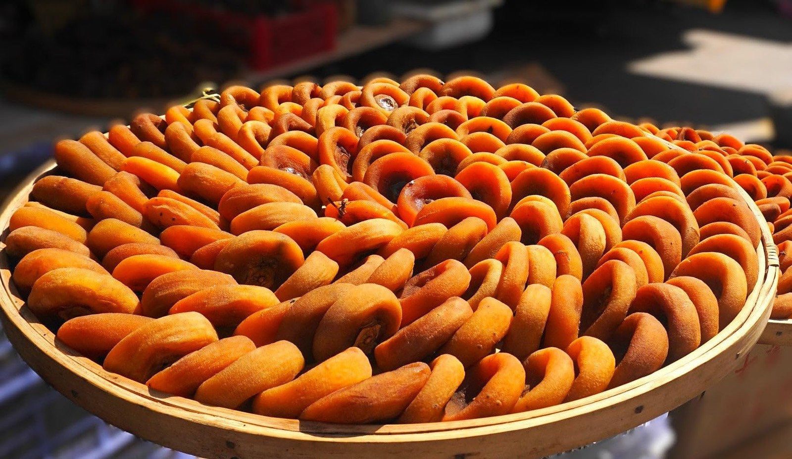 – Japanese Persimmon Tree Seeds – 10+ Count – for 2026 Planting Diospyros Kak…
