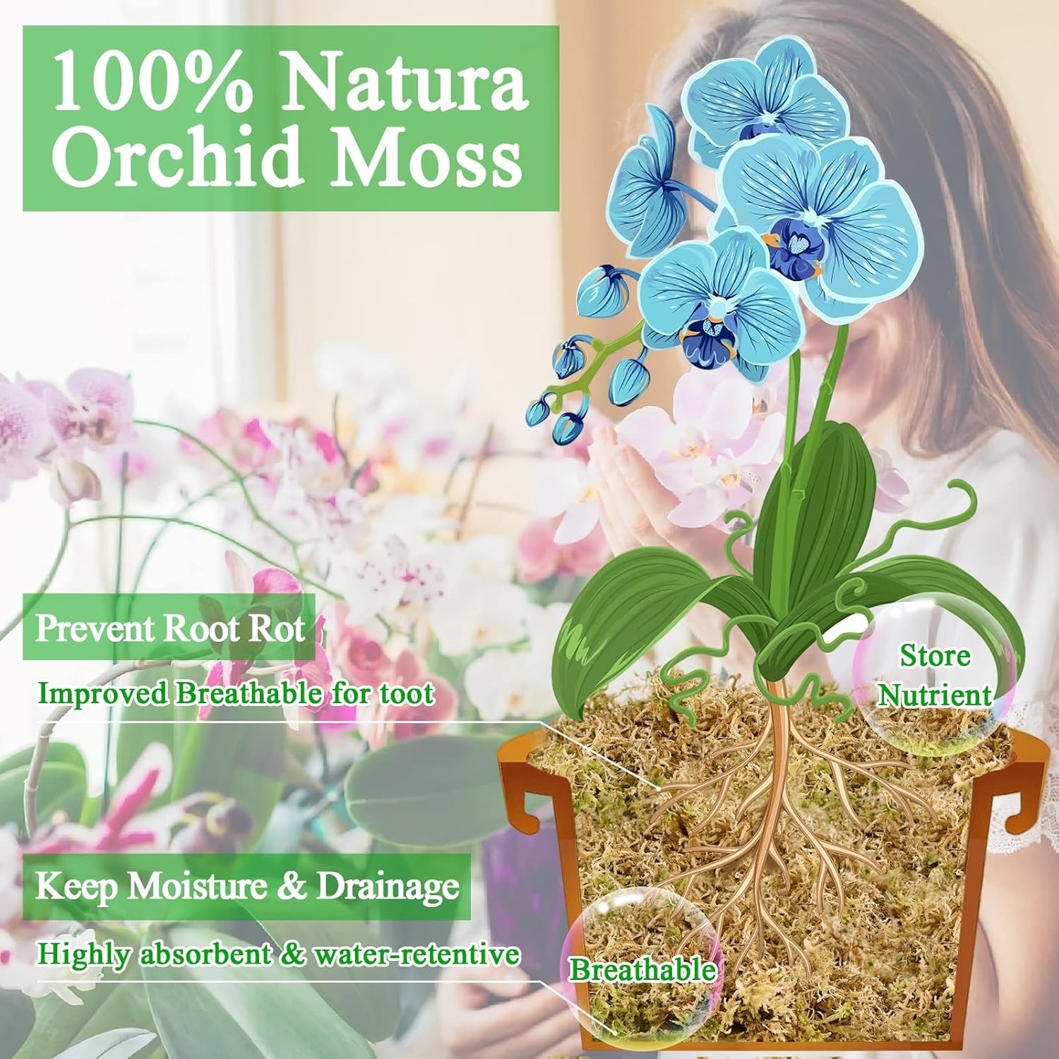 1.3LBS Sphagnum Moss – 25QT Natural Substrate for Thriving Plants
