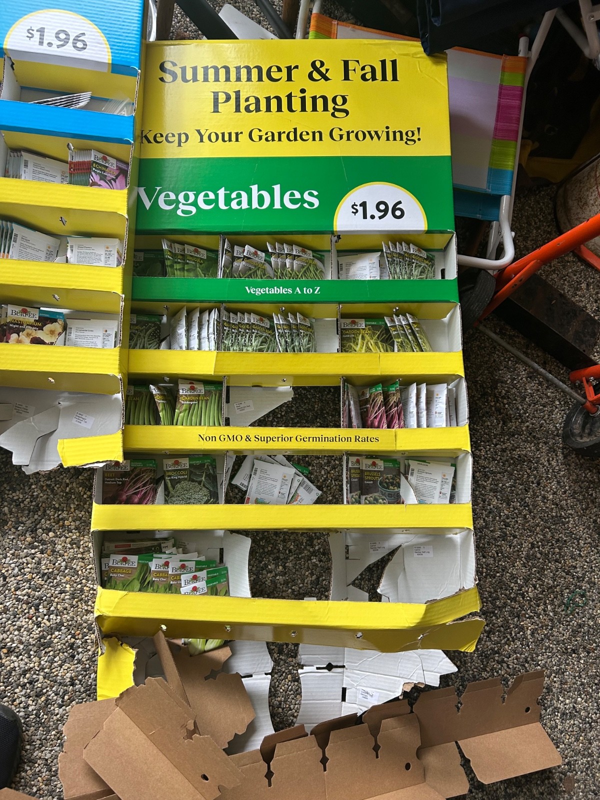 Lot Of 300+ Mixed Variety Vegetable Seeds & Herbs ALL Ferry-Morse 12/26
