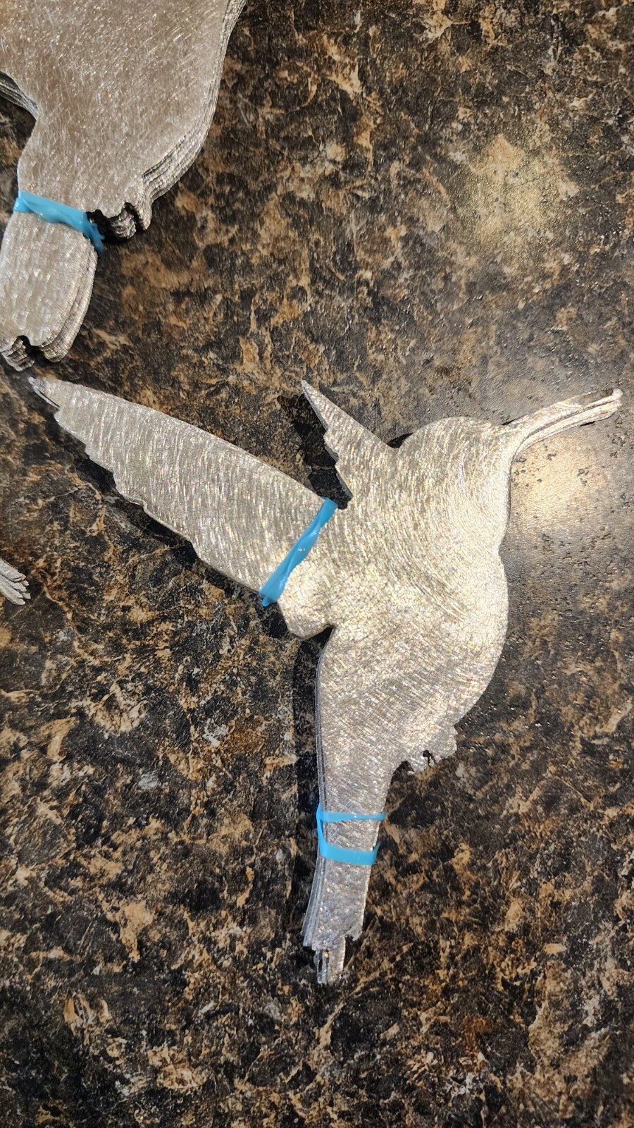 “5 Pack Humming Bird Set”