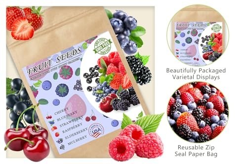 1100pcs Mixed Berry Seeds for Planting – Strawberry, Raspberry, Blueberry & More