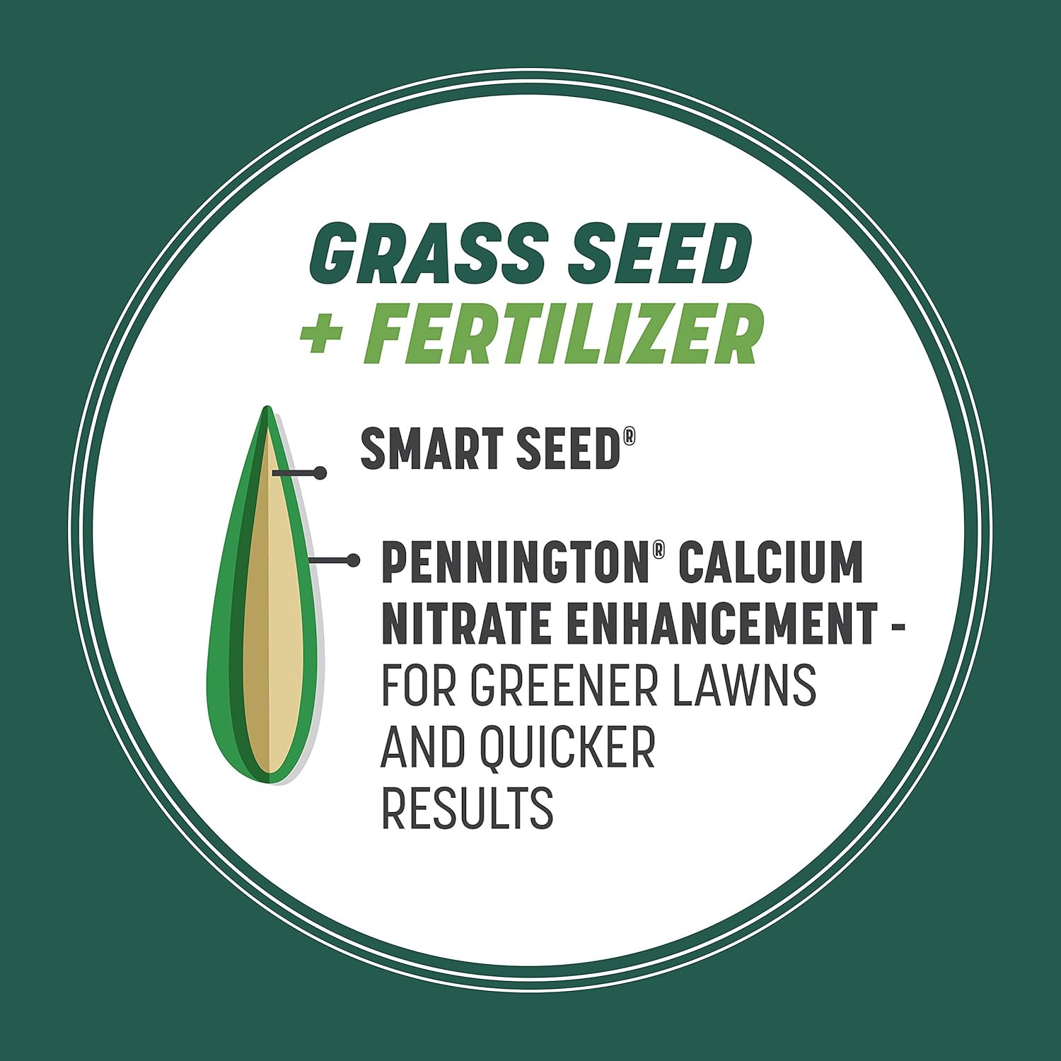 Smart Seed Sun & Shade Mix South, Tall Fescue Grass Seeds for Lawn