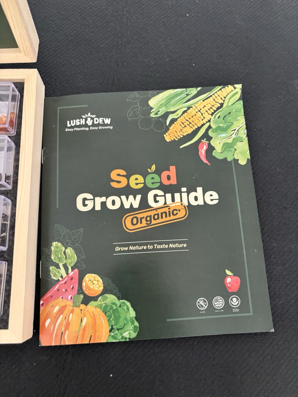 32 Organic Seeds with Grow Guide Step by Step Easy to Follow Summer Collection