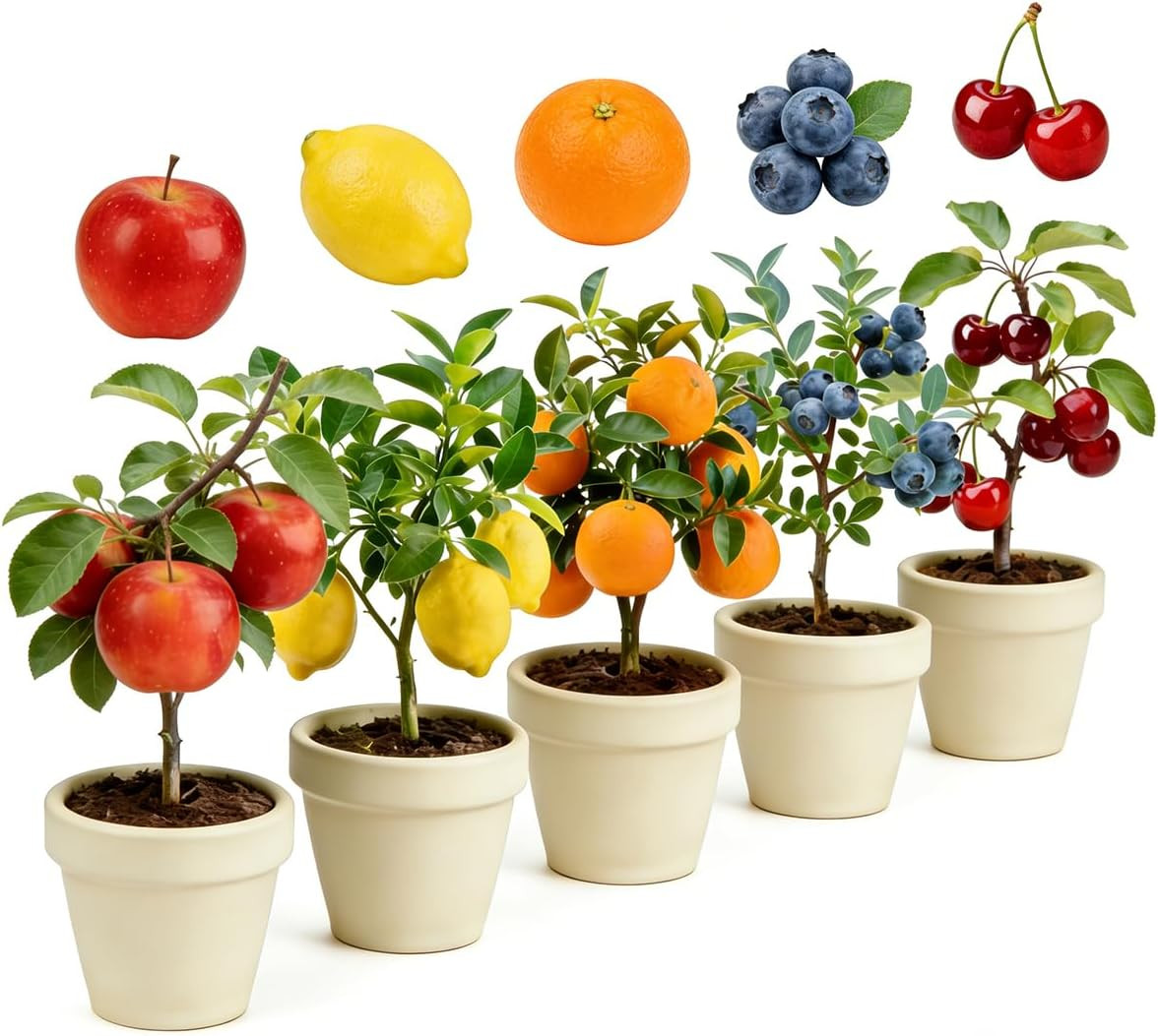 Mixrug Mix Dwarf Bonsai Fruit Tree Seeds for Planting, 40+ Apples Tree,40+ Le…