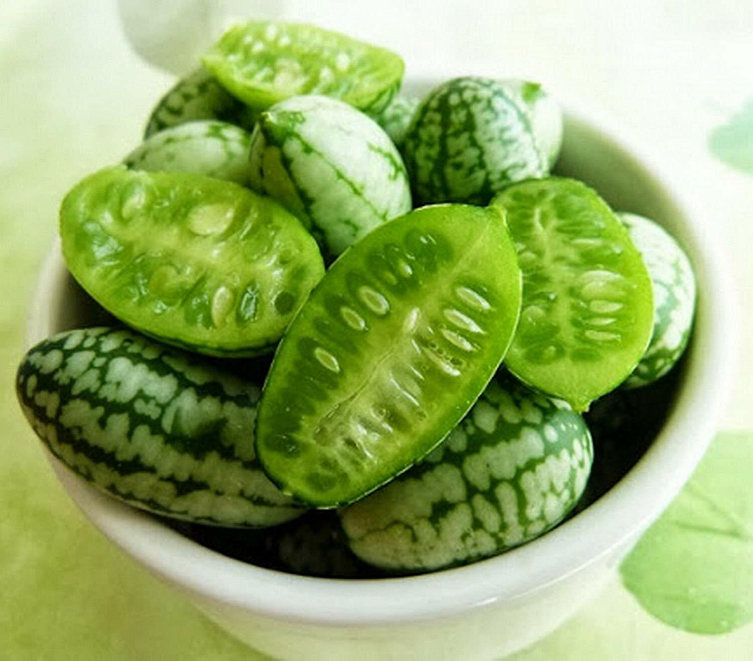 Melothria scabra CUCAMELON Seeds!