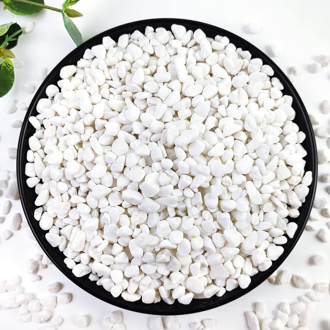 2LB Succulent and Cactus Gravel Pebbles, / Inch White Natural Decorative Polishe