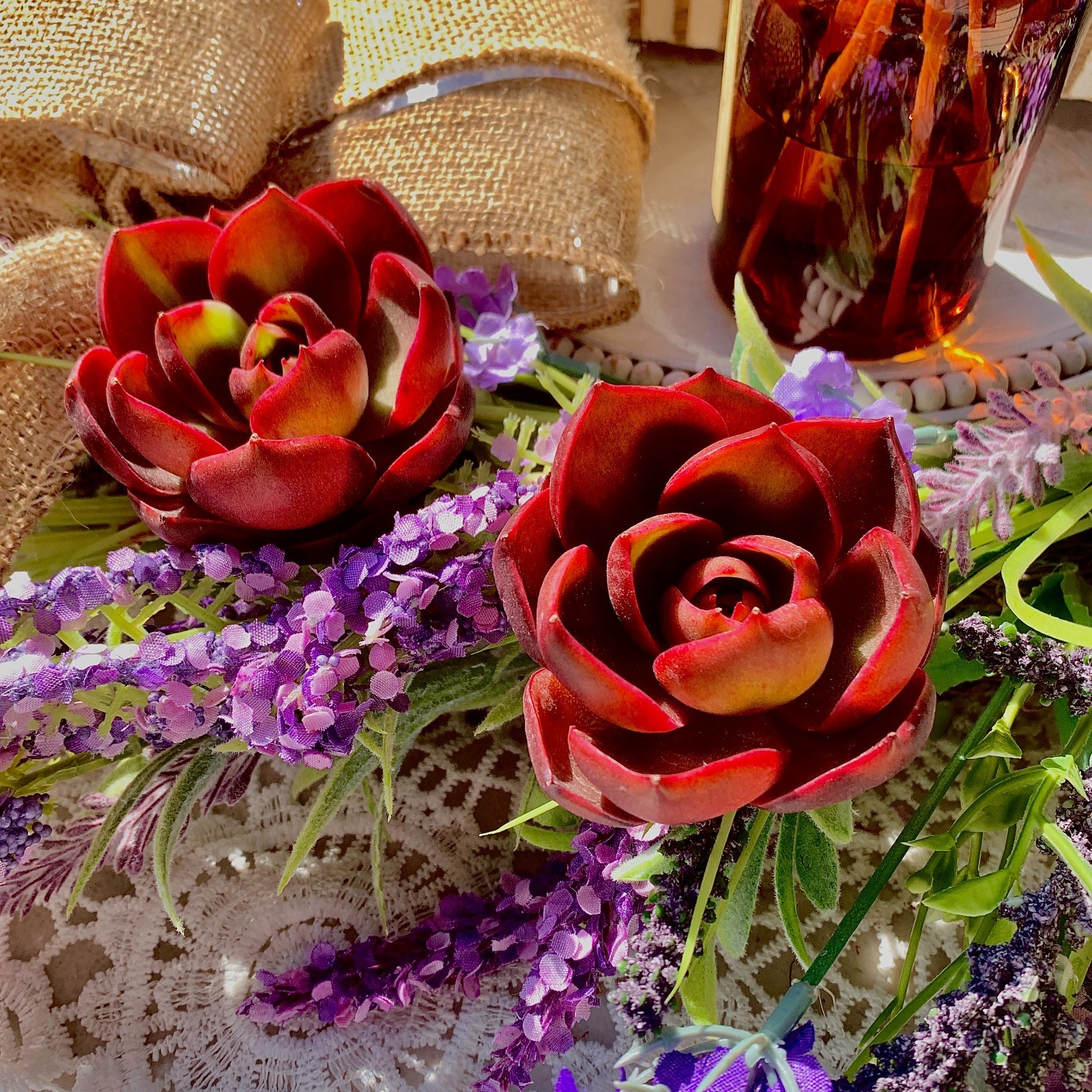 Live Succulent ‘Red Light’ – Bare Root Plant for Office, Wedding, or Home Decor