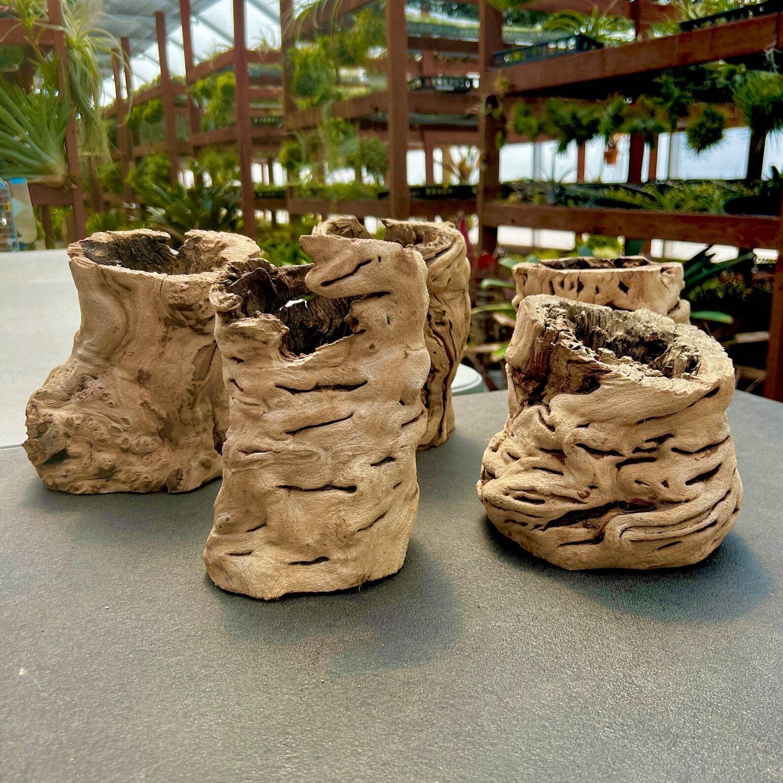 Sandblasted California Grapewood Trunk (From Zin Vines That Are 100+ Yrs Old!)