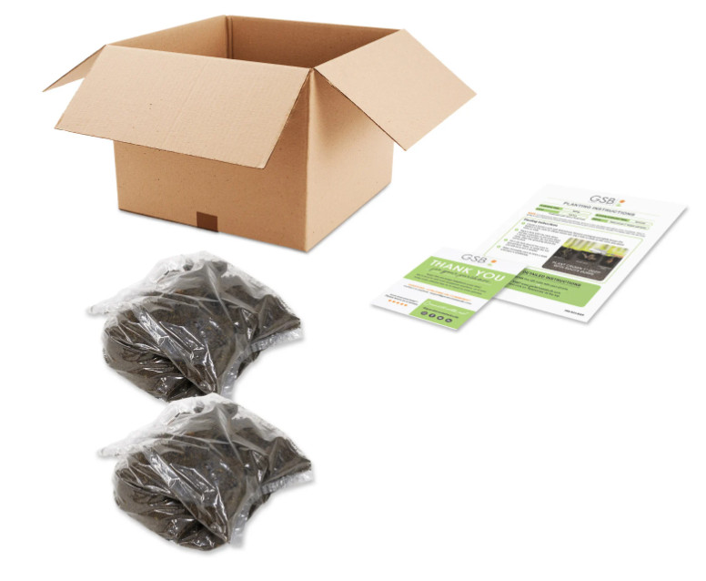 Garden State Bulb Bartzella Itoh Peony, Live Bare Root, Spring Planting