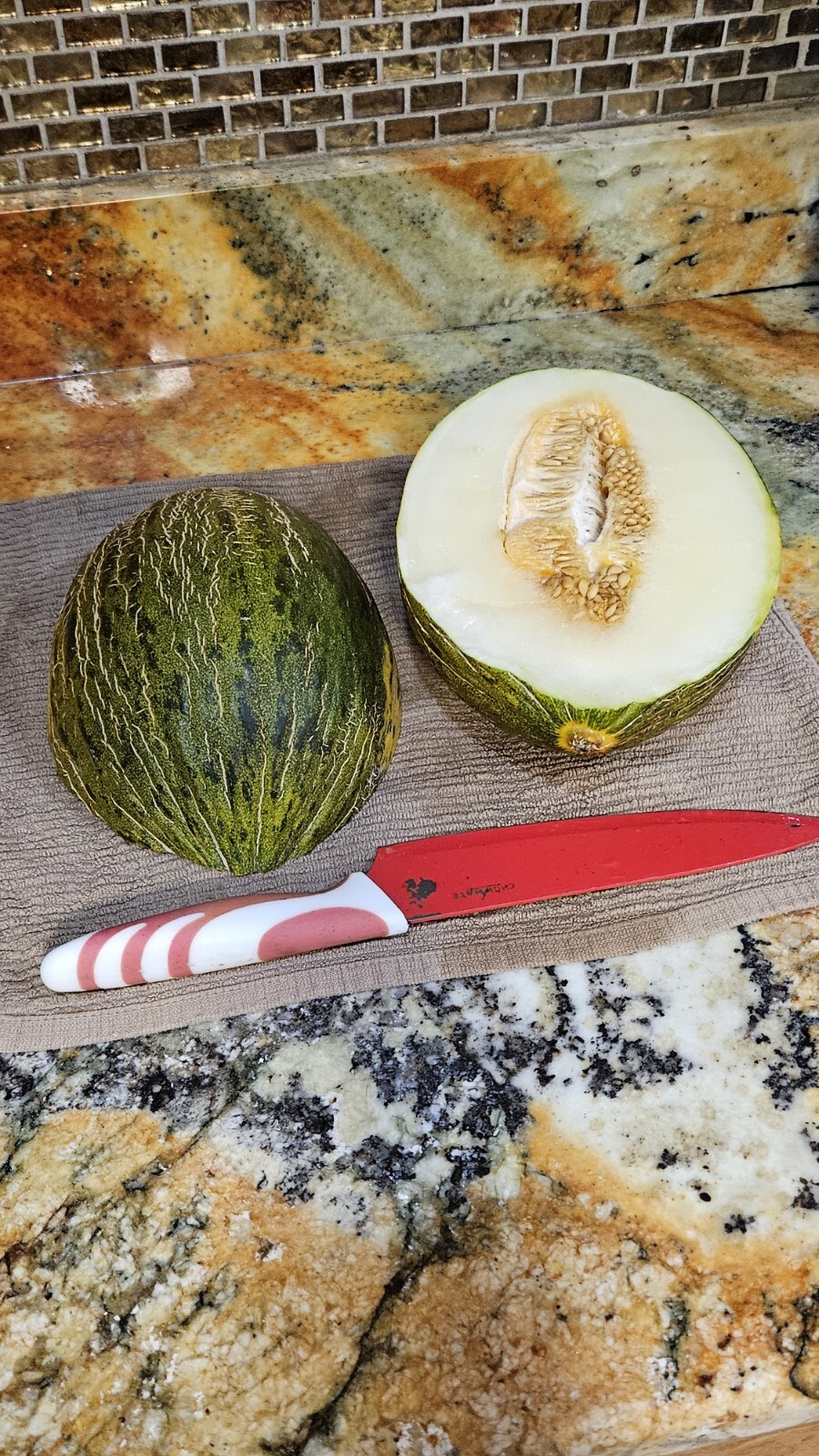 RARE Piel De Sapo Melon Seeds 25+ Santa Claus Melon / FL GROWN / ORGANIC