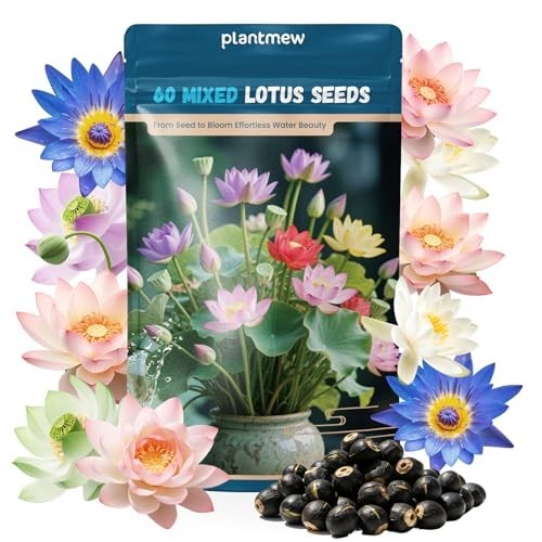 60 PCS Mixed Color Lotus Seeds for Planting in Water | Non-GMO Aquatic Plants fo
