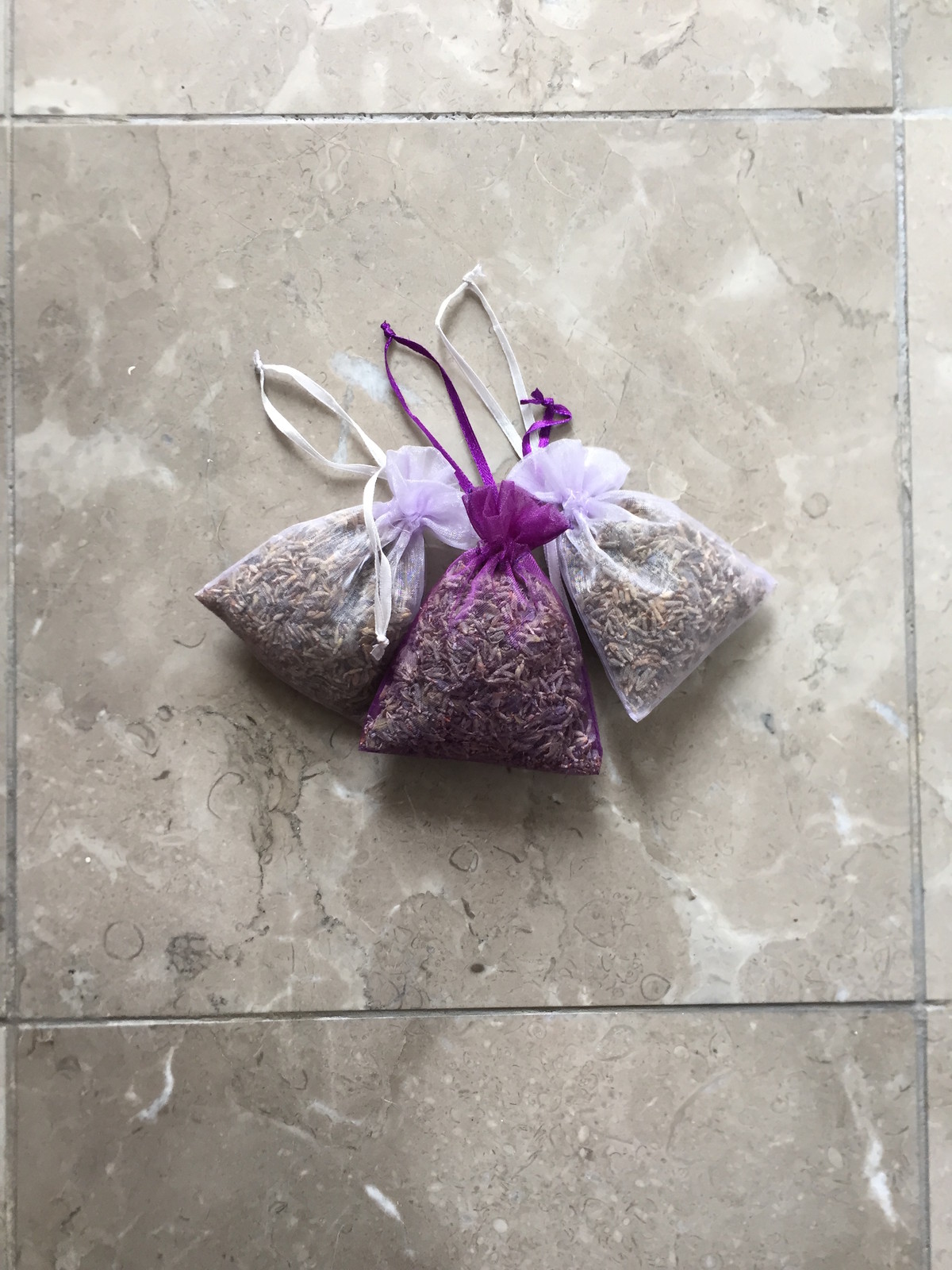 Organic Live California USA Lavender Cuttings
