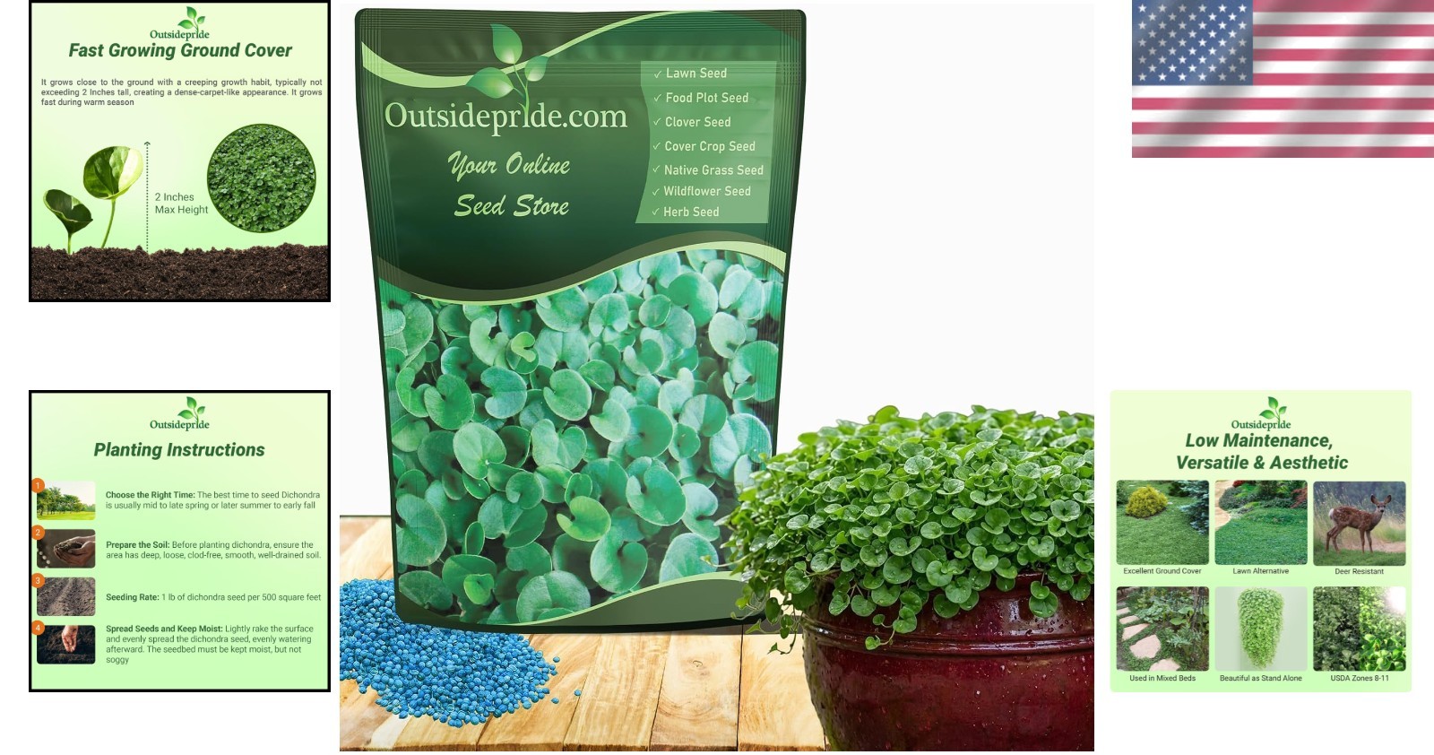 Drought-Tolerant Dichondra Seeds – Sun & Shade Ground Cover