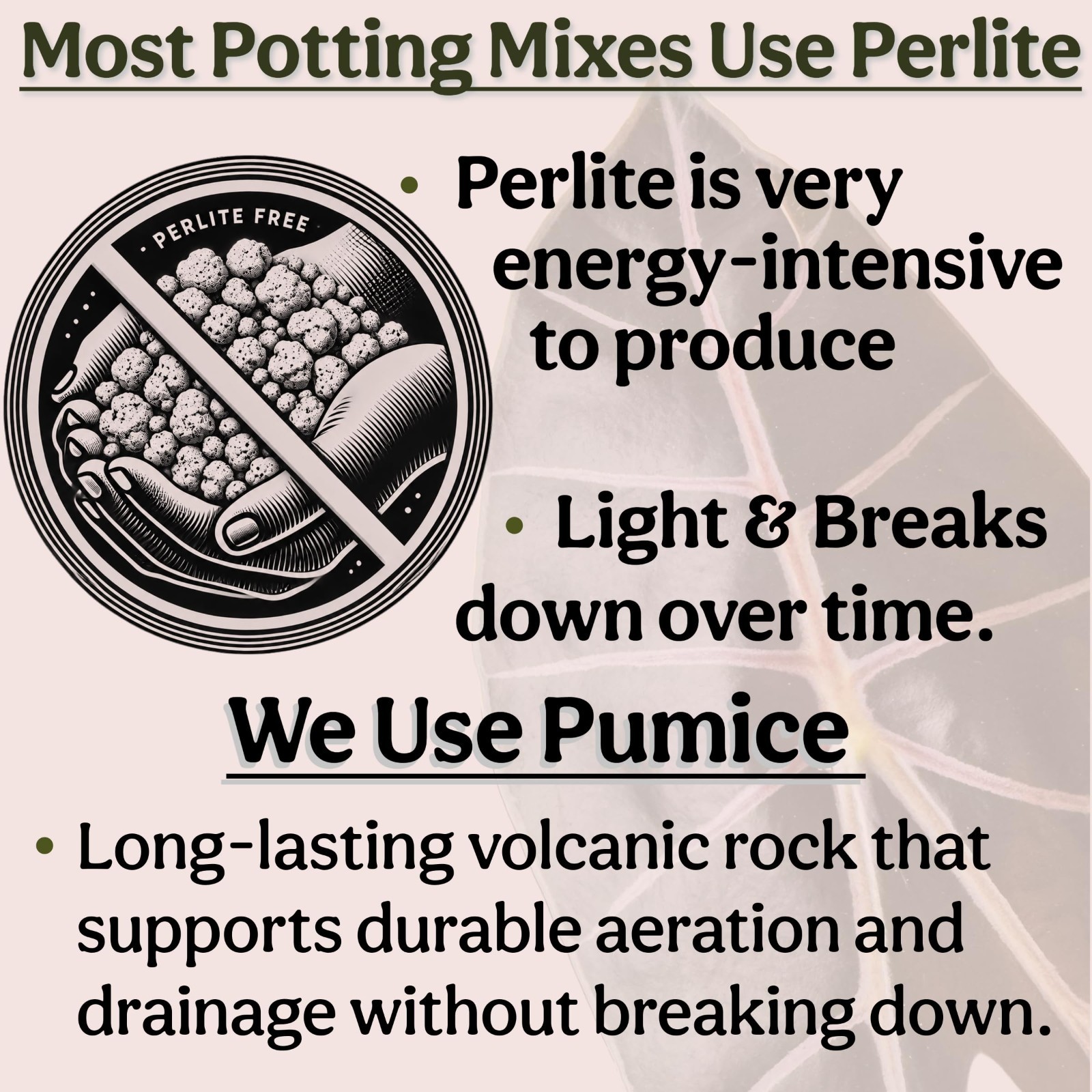 Organic Potting Mix for Indoor Plants – Well Draining, Chunky Soil, Peat Free, 2
