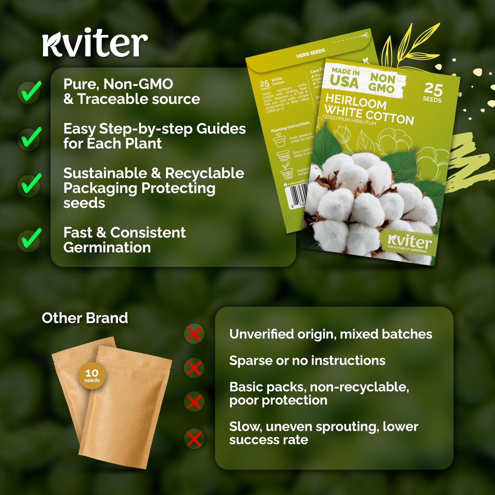 KVITER 25 White Cotton Seeds for Planting (Gossypium hirsutum)