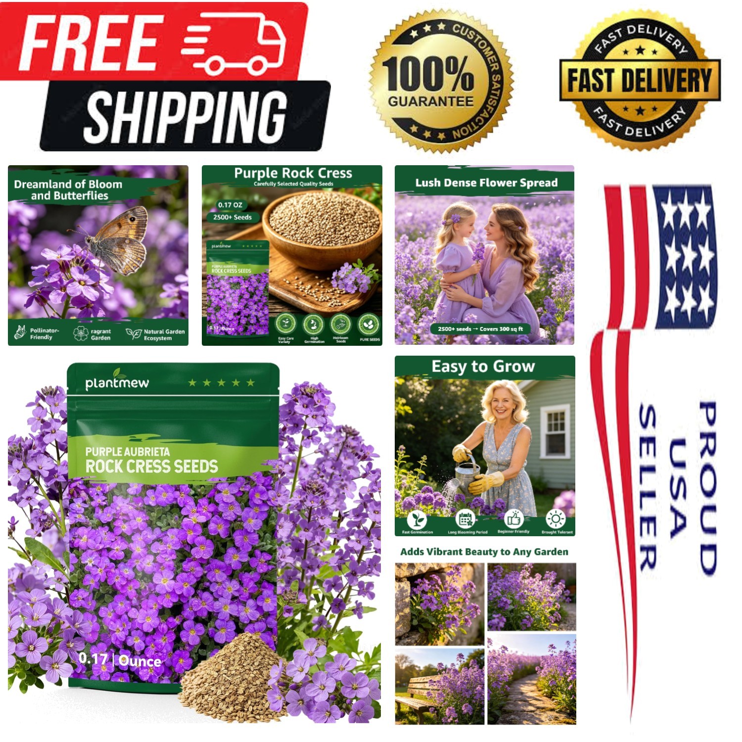 Vibrant Purple Aubrieta Rock Cress Seeds – Attract Bees & Butterflies Outdoors