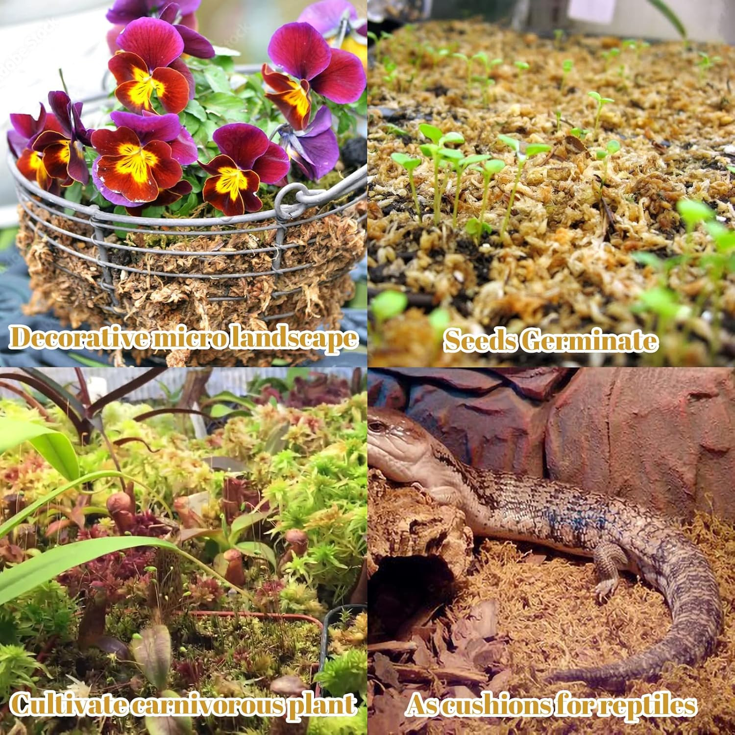 2.2LBS Premium Sphagnum Moss for Plants- 40QT Natural Succulent Carnivorous Plan