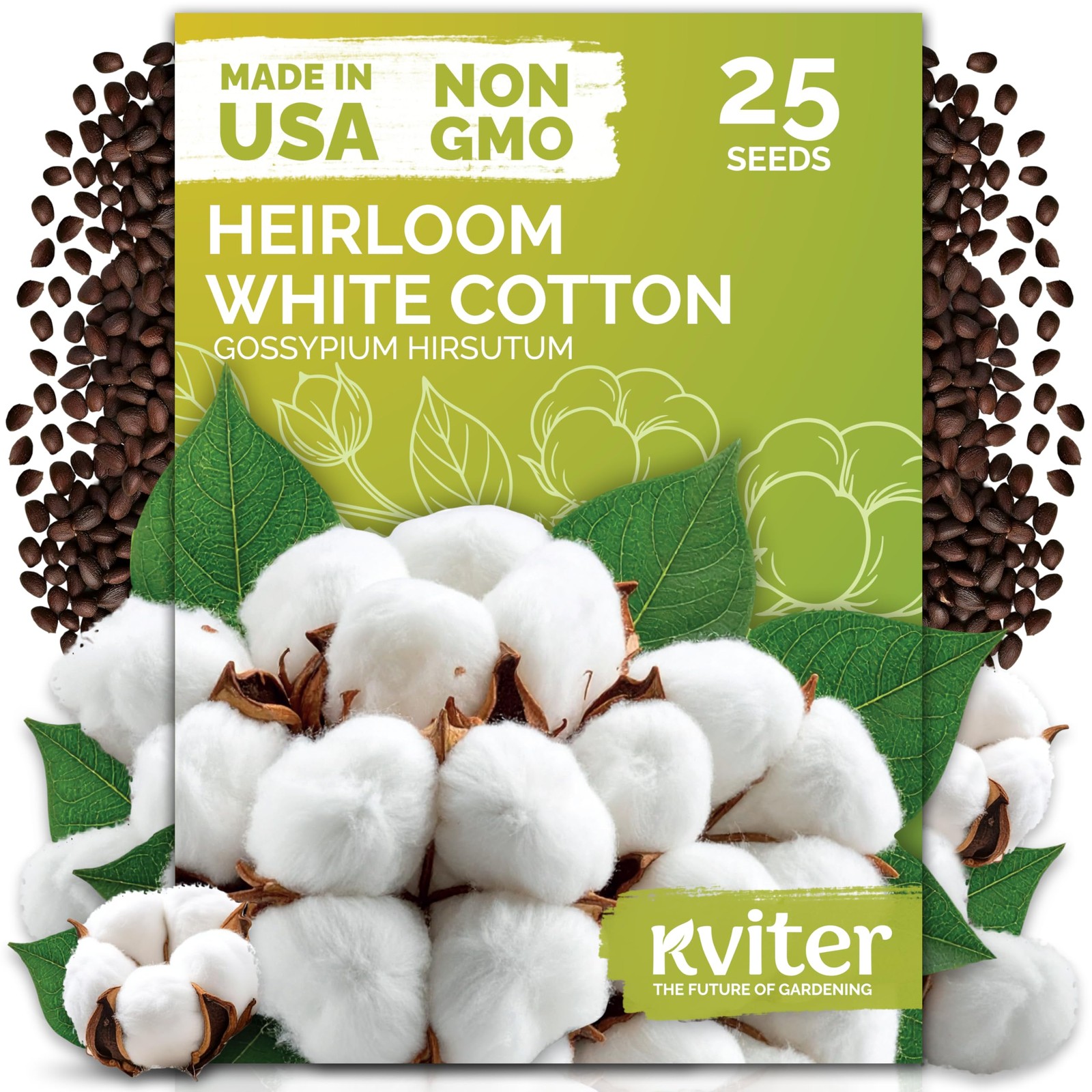 KVITER 25 White Cotton Seeds for Planting (Gossypium hirsutum)