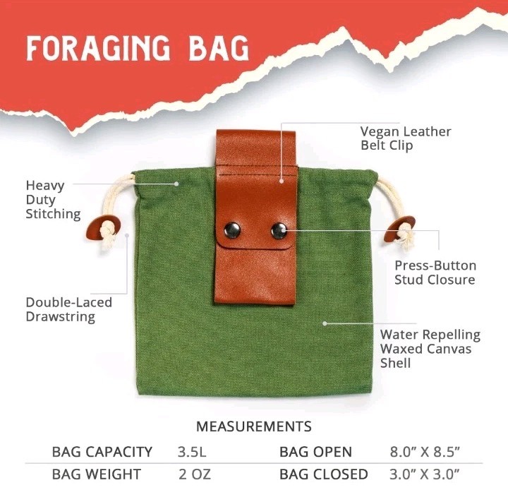 New Gather Americana 3-in-1 Mushroom Foraging Kit – Harvest Natures Bounty