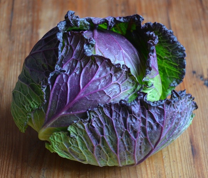 CABBAGE Heirloom Mix 100 NON-GMO garden SEEDS ALL TYPES MIXED super winter veggi