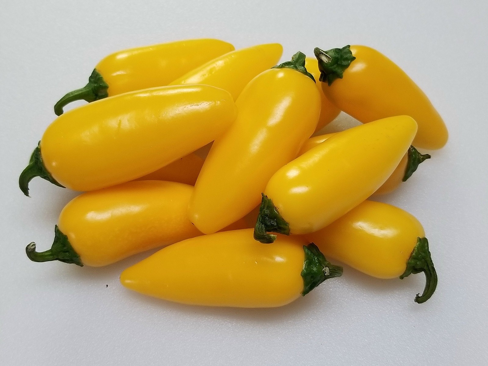 25 LEMON SPICE JALAPENO PEPPER SEEDS ~ heirloomseedguy ~ 2026 ~ NON-GMO
