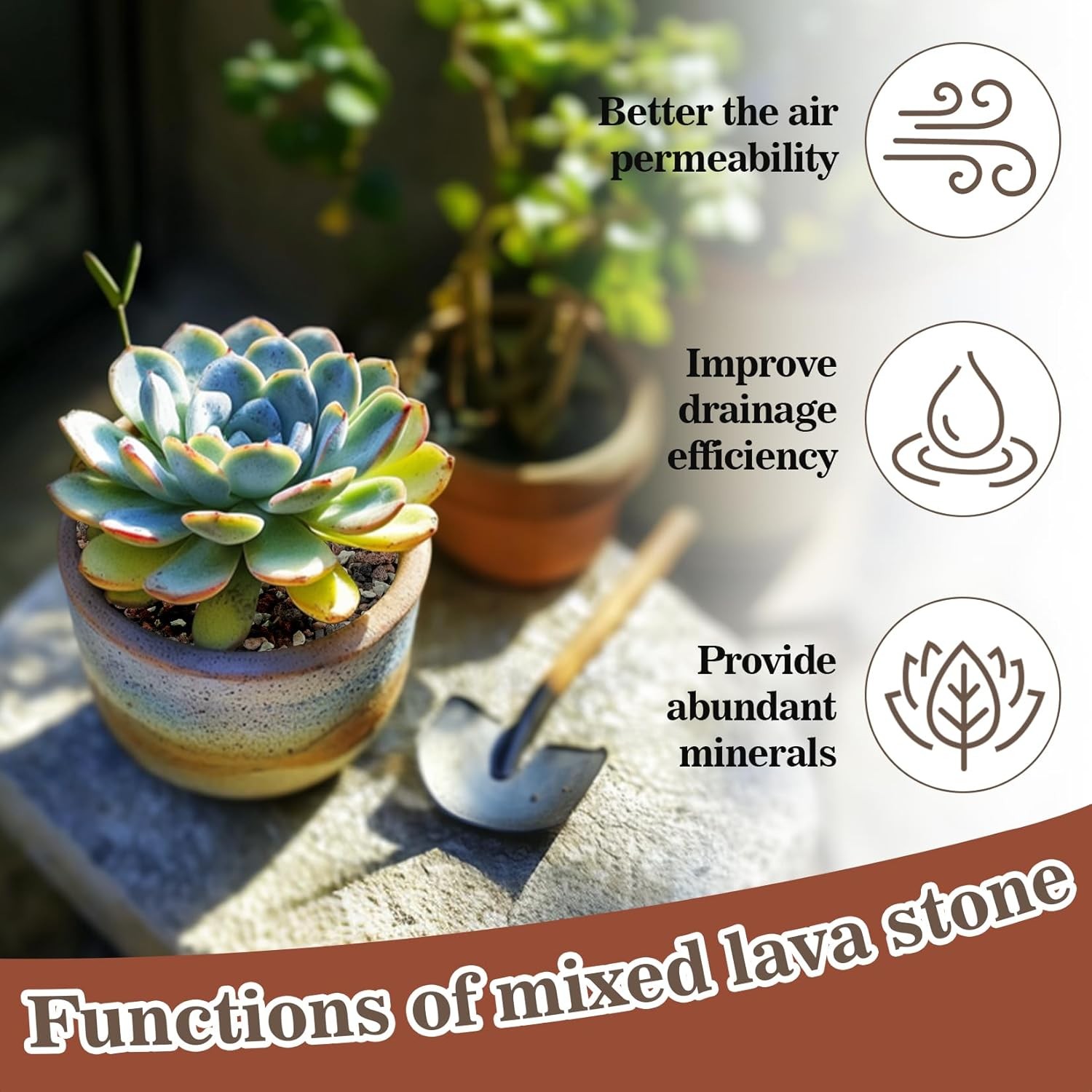 Sukh 2LBS Horticultural Succulent Rocks Bonsai Mix Potting Mix…